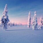 Rovaniemi: Half-Day Snowmobile & Ice Fishing Experience - Who Should Consider This Tour?