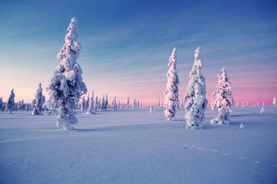 Rovaniemi: Half-Day Snowmobile & Ice Fishing Experience - Who Should Consider This Tour?