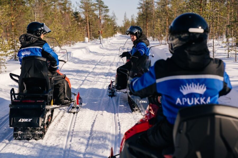 Rovaniemi: Half-Day Snowmobile Tour - The Sum Up