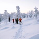 Rovaniemi: Hiking and Snowshoeing Adventure in Lapland - The Practical Side: Logistics and Value