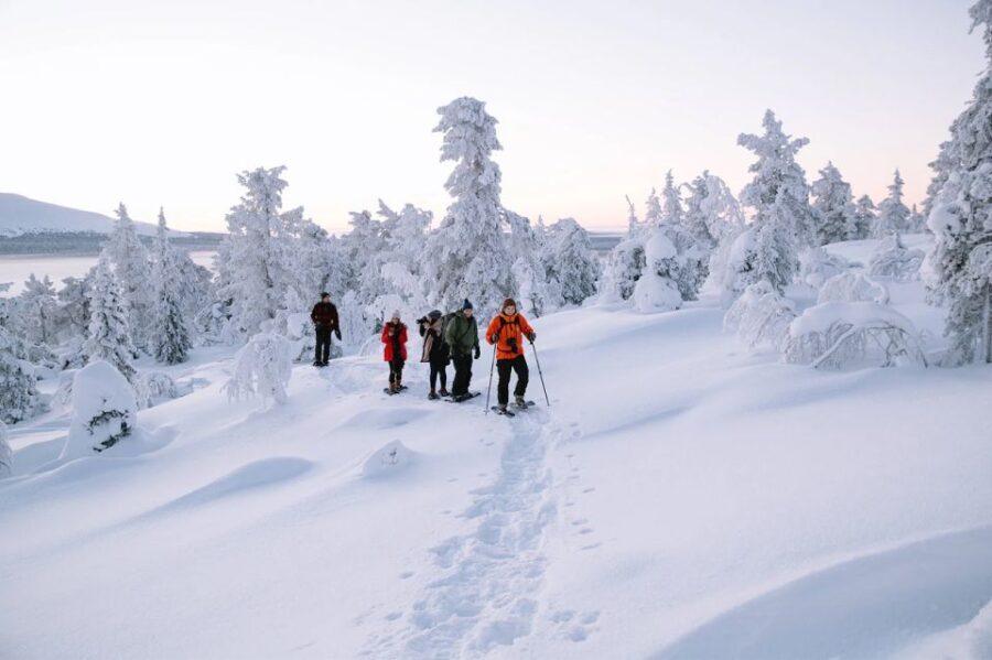 Rovaniemi: Hiking and Snowshoeing Adventure in Lapland - The Practical Side: Logistics and Value