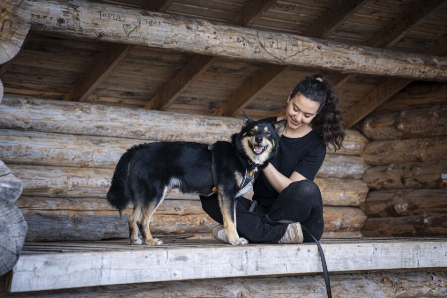 Rovaniemi: Hiking Experience with Lappish Dogs - Rovaniemi: Hiking Experience with Lappish Dogs