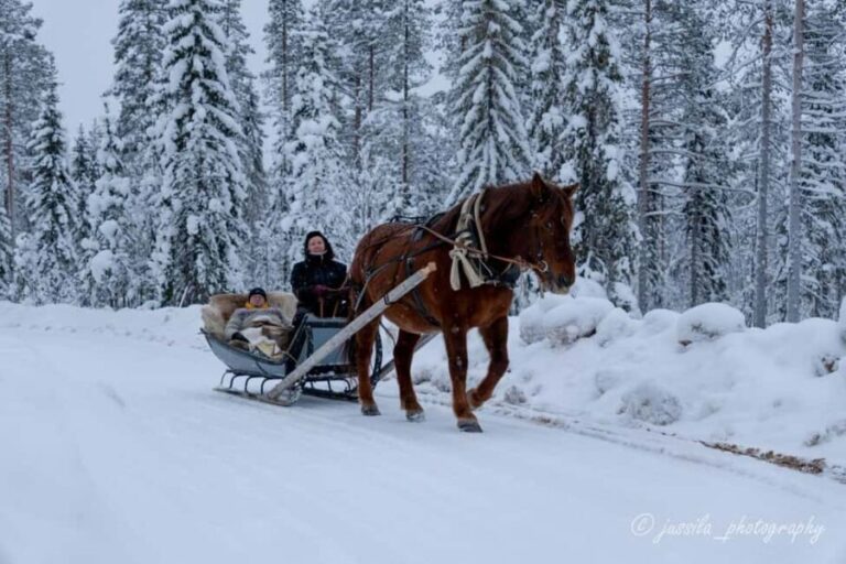 Rovaniemi: Horse-Drawn Sleigh Ride with Snacks and Transfer - A Detailed Look at the Experience