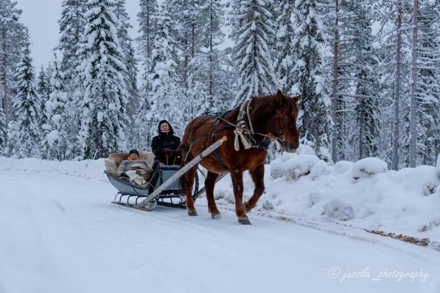 Rovaniemi: Horse-Drawn Sleigh Ride with Snacks and Transfer - A Detailed Look at the Experience