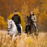 Rovaniemi: Horse Riding in Arctic Wilderness - FAQ