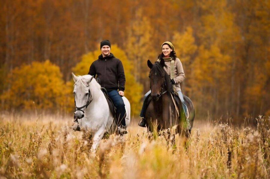 Rovaniemi: Horse Riding in Arctic Wilderness - FAQ