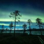 Rovaniemi: Horse Sleigh Ride under the Night Sky - Who Will Love This Tour?