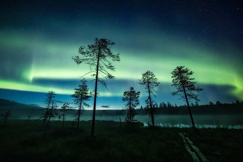 Rovaniemi: Horse Sleigh Ride under the Night Sky - Who Will Love This Tour?
