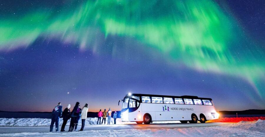 Rovaniemi: Hunting Northern Lights Bus Tour - Final Thoughts