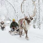 Rovaniemi: Husky and Reindeer farm with sleigh ride - An In-Depth Look at the Rovaniemi Husky and Reindeer Tour