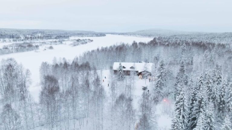 Rovaniemi: Husky Farm Visit with a Sledge Ride - The Pros and Cons