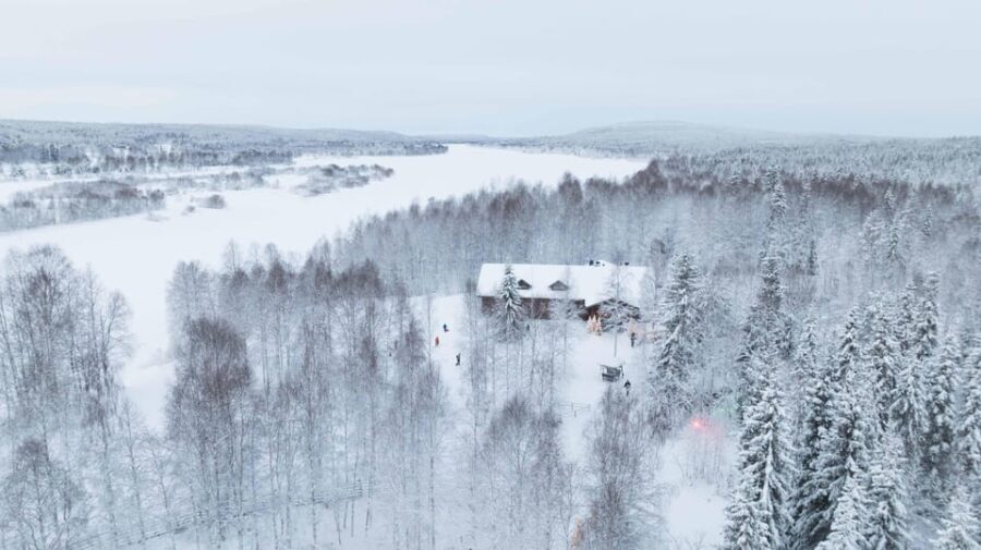 Rovaniemi: Husky Farm Visit with a Sledge Ride - The Pros and Cons