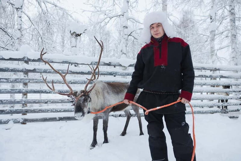 Rovaniemi: Husky & Reindeer Experience with Snowmobile Ride - Who Would Love This Tour?