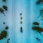 Rovaniemi Husky Safari & Campfire BBQ  610 km SelfDrive - An In-Depth Look at the Husky Safari & Campfire Experience