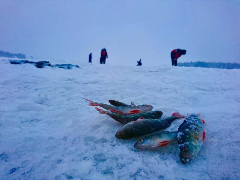 Rovaniemi: Ice Fishing by Snowmobile - An In-Depth Look at the Tour Experience