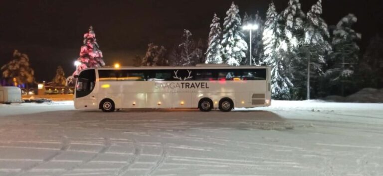 Rovaniemi: Insider Northern Lights Bus with Drinks & Snacks - Why This Tour Represents Good Value