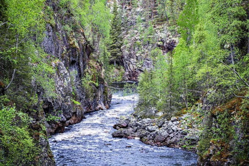 Rovaniemi: Korouoma Canyon and Auttiköngäs Falls Tour - A detailed look at what makes this tour special