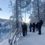 Rovaniemi: Korouoma Canyon Frozen Waterfalls Day Trip - Final Thoughts: Is It Worth It?