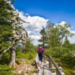 Rovaniemi: Korouoma Canyon Hike and Barbecue Experience - What’s Included and Practicalities