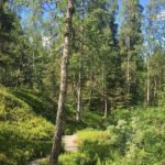 Rovaniemi: Korouoma Canyon Hike and Barbecue Experience - Who Should Consider This Tour?