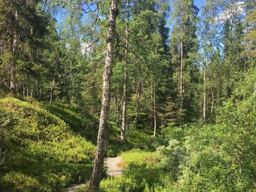 Rovaniemi: Korouoma Canyon Hike and Barbecue Experience - Who Should Consider This Tour?