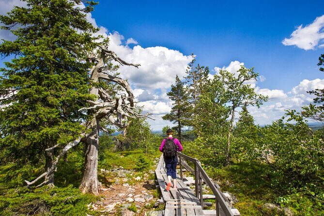 Rovaniemi: Korouoma Canyon Hike and Barbecue Experience - What’s Included and Practicalities