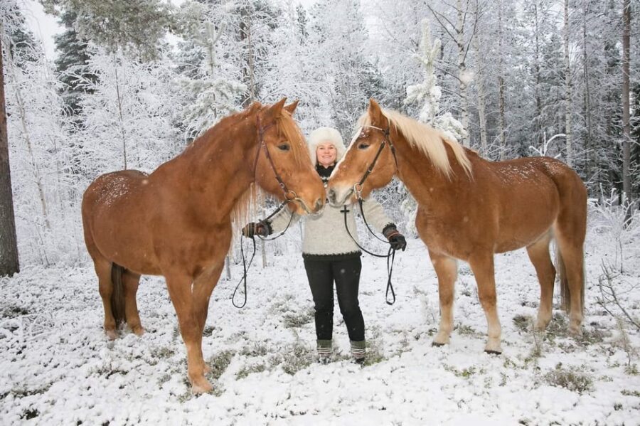 Rovaniemi: Late Night Ride with Finnhorses - Exploring the Rovaniemi Night Horseback Ride in Depth