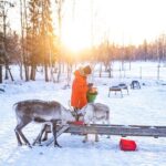 Rovaniemi: Local Reindeer Farm Visit with Sleigh Ride - Who Should Consider This Tour?