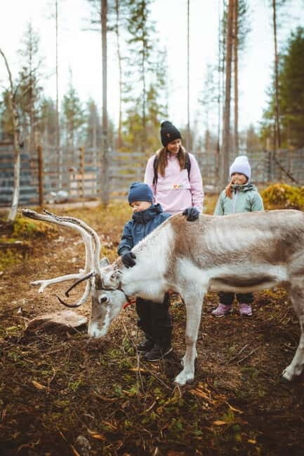 Rovaniemi: Meet Santa Claus and His Friends - What Makes This Tour Special