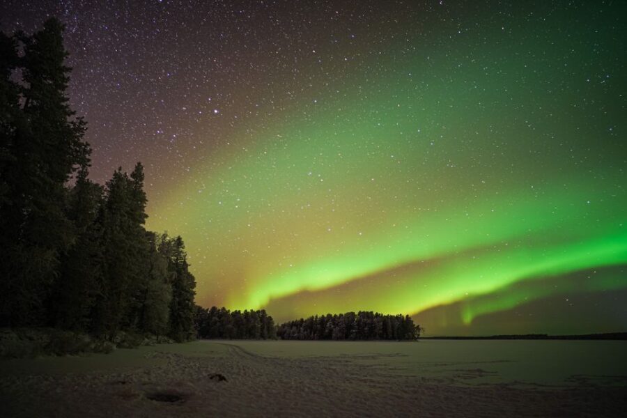 Rovaniemi: Night Sky lappish Barbecue - Price and Value Analysis