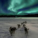 Rovaniemi: Northern Lights and Husky Sleigh Ride - Who Is This Tour Best For?