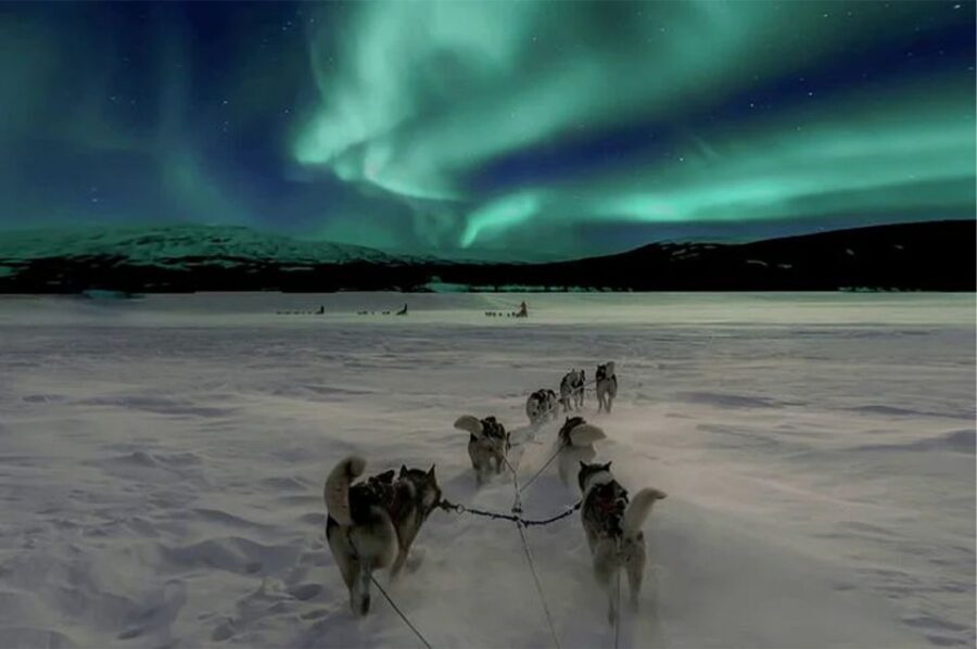 Rovaniemi: Northern Lights and Husky Sleigh Ride - Who Is This Tour Best For?