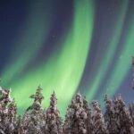 Rovaniemi: Northern Lights Hunt & Photography Experience - The Experience: What to Expect on This Arctic Night