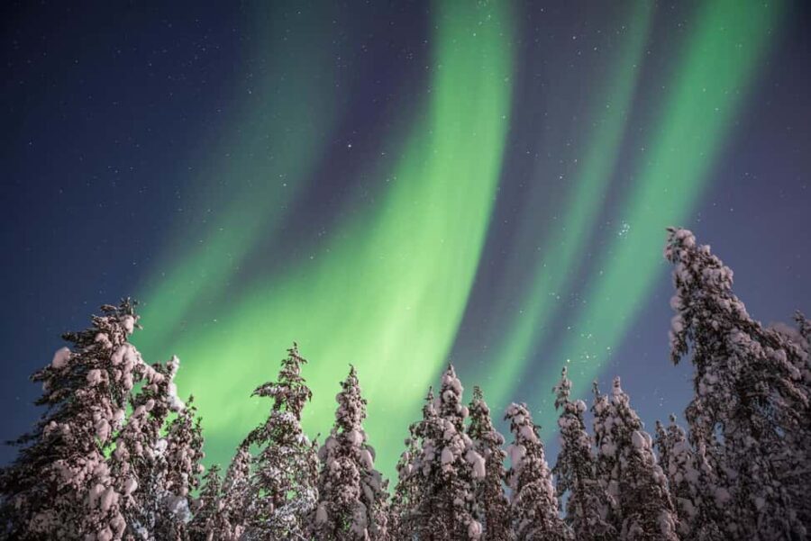 Rovaniemi: Northern Lights Hunt & Photography Experience - The Experience: What to Expect on This Arctic Night