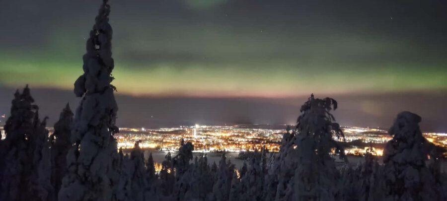Rovaniemi: Northern Lights Hunt with Local Guides - Why the Price Offers Good Value
