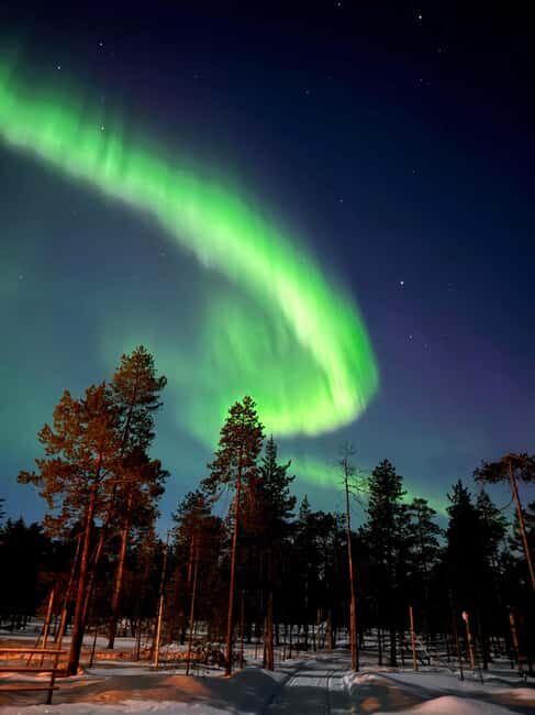 Rovaniemi: Northern Lights Safari on Electric Snowmobile - Who Will Love This Tour?