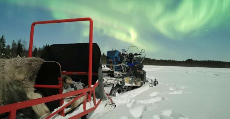 Rovaniemi: Northern Lights Sledge Ride - What the Reviews Say
