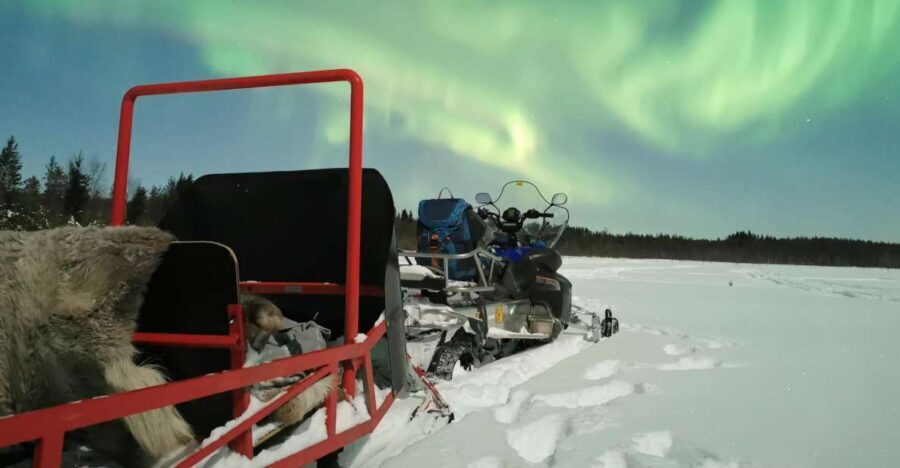 Rovaniemi: Northern Lights Sledge Ride - What the Reviews Say