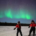Rovaniemi: Northern Lights Sleigh Ride - A Deep Dive into the Rovaniemi Northern Lights Sleigh Ride