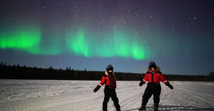 Rovaniemi: Northern Lights Sleigh Ride - A Deep Dive into the Rovaniemi Northern Lights Sleigh Ride