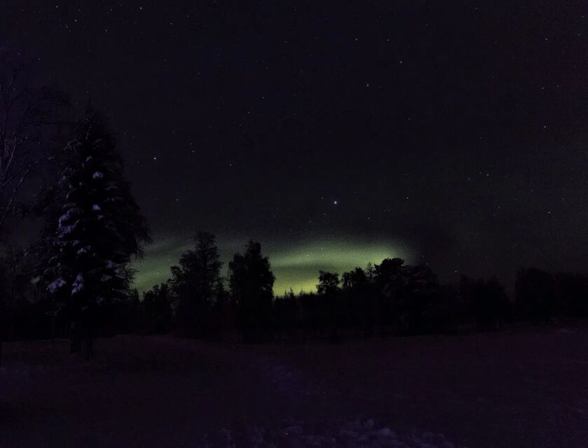 Rovaniemi: Northern Lights Snowmobile Safari with Campfire - Final Thoughts