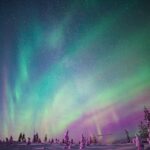 Rovaniemi: Northern Lights Snowmobile Tour - What to Expect on the Rovaniemi Snowmobile Tour