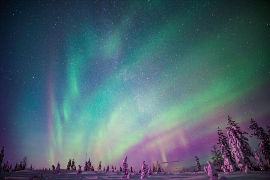 Rovaniemi: Northern Lights Snowmobile Tour - What to Expect on the Rovaniemi Snowmobile Tour