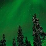 Rovaniemi: Northern Lights Tour - Who Should Consider This Tour?