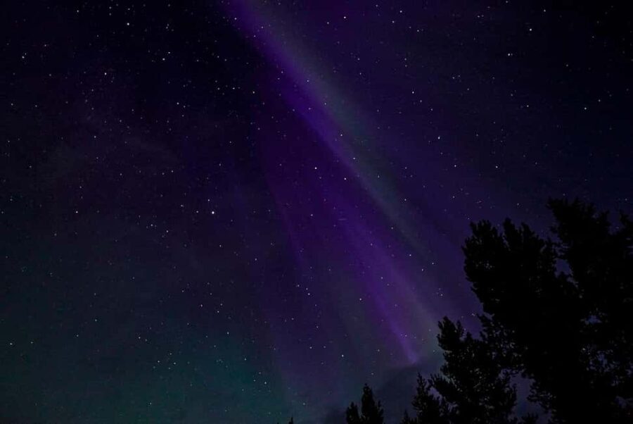 Rovaniemi: Northern Lights Tour - Aurora Viewing Guaranteed - Who Should Consider This Tour?