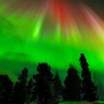 Rovaniemi: Northern Lights Tour with Guarantee - What Makes This Tour Stand Out?