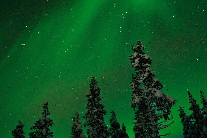 Rovaniemi: Northern Lights Tour - Who Should Consider This Tour?
