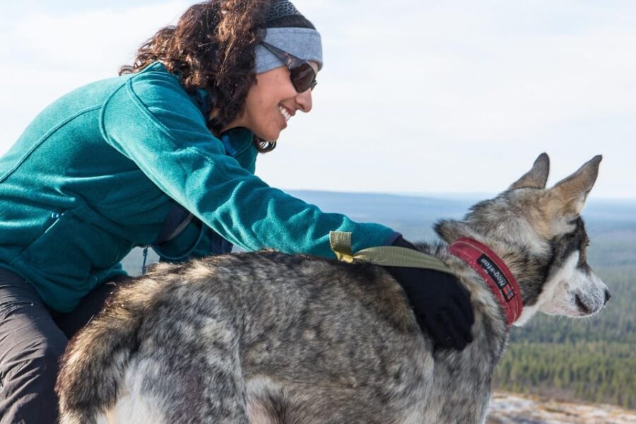 Rovaniemi: One Hour Husky Experience - Practical Details