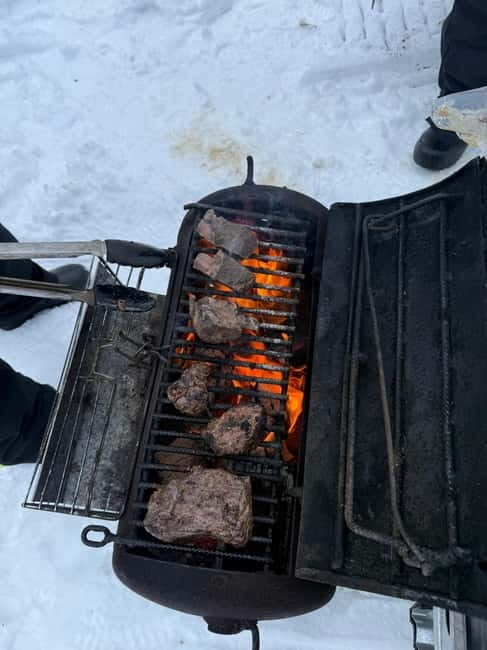 Rovaniemi: Private Snowmobile Trip With Local Guide - The Sum Up: Who Should Consider This Tour?
