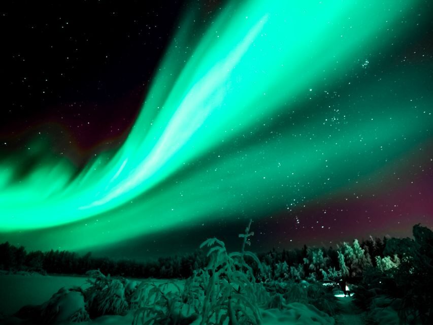 Rovaniemi: Private Tour with Guaranteed Northern Lights - Who Would Love This Tour